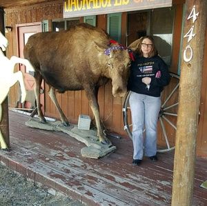 Meet your Posher, Sherry